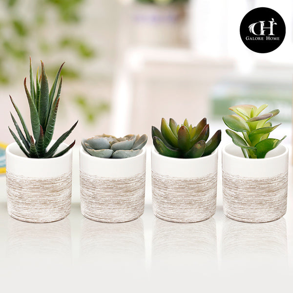 succulents galore Gradient Indoor Ceramic Pot Tabletop Container