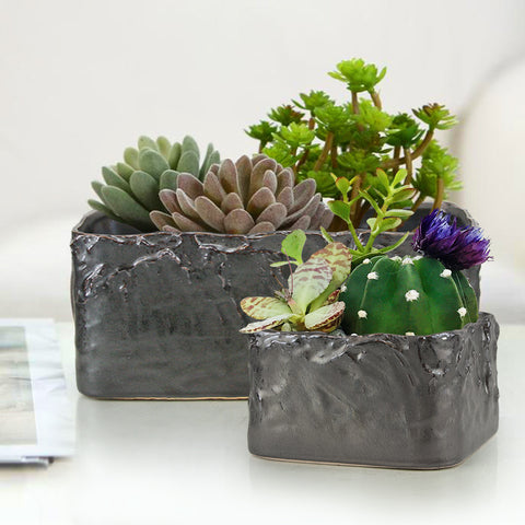 Home Decor: Pots and Planters - Ceramic