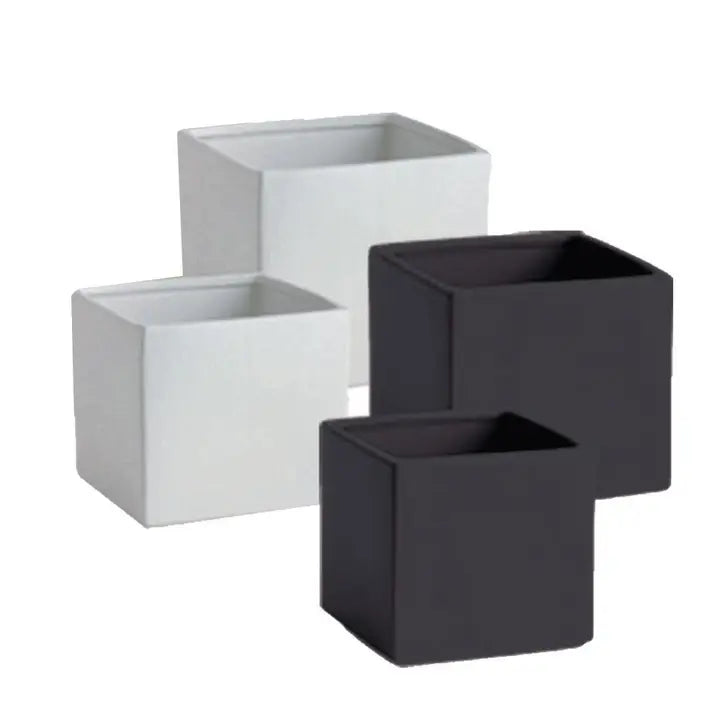 Contemporary Collection