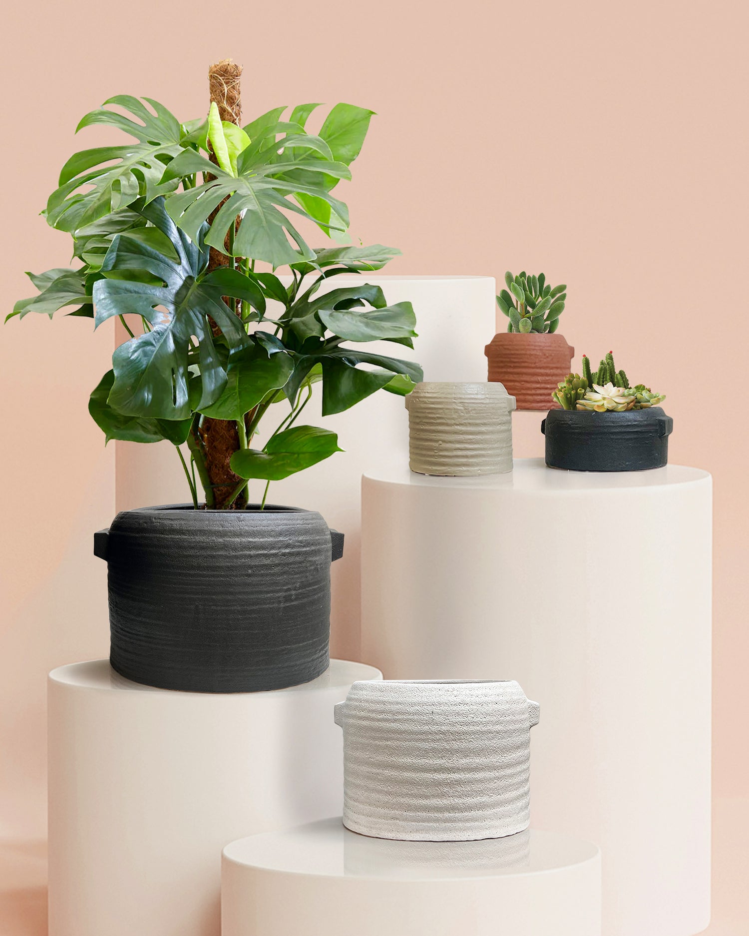 decorative ceramic pots for indoor plants 4.75 x 6.5 inch Ceramic Planter – Zinto Ceramic, Indoor Greenery