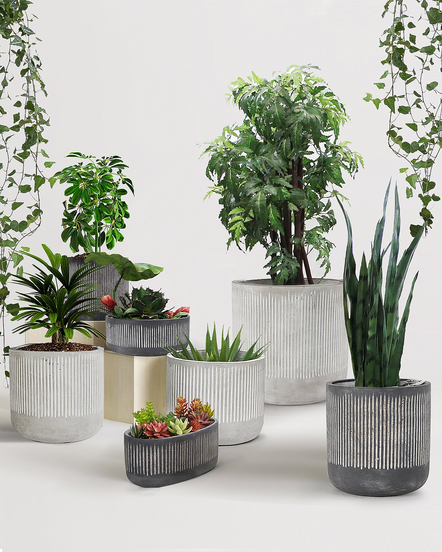 Ceramic Bamboo Ridged Planter | Galore Home: Luxury Home Decor, Elegant Home Furnishings, Stylish Home Accents & Contemporary Home Accessories