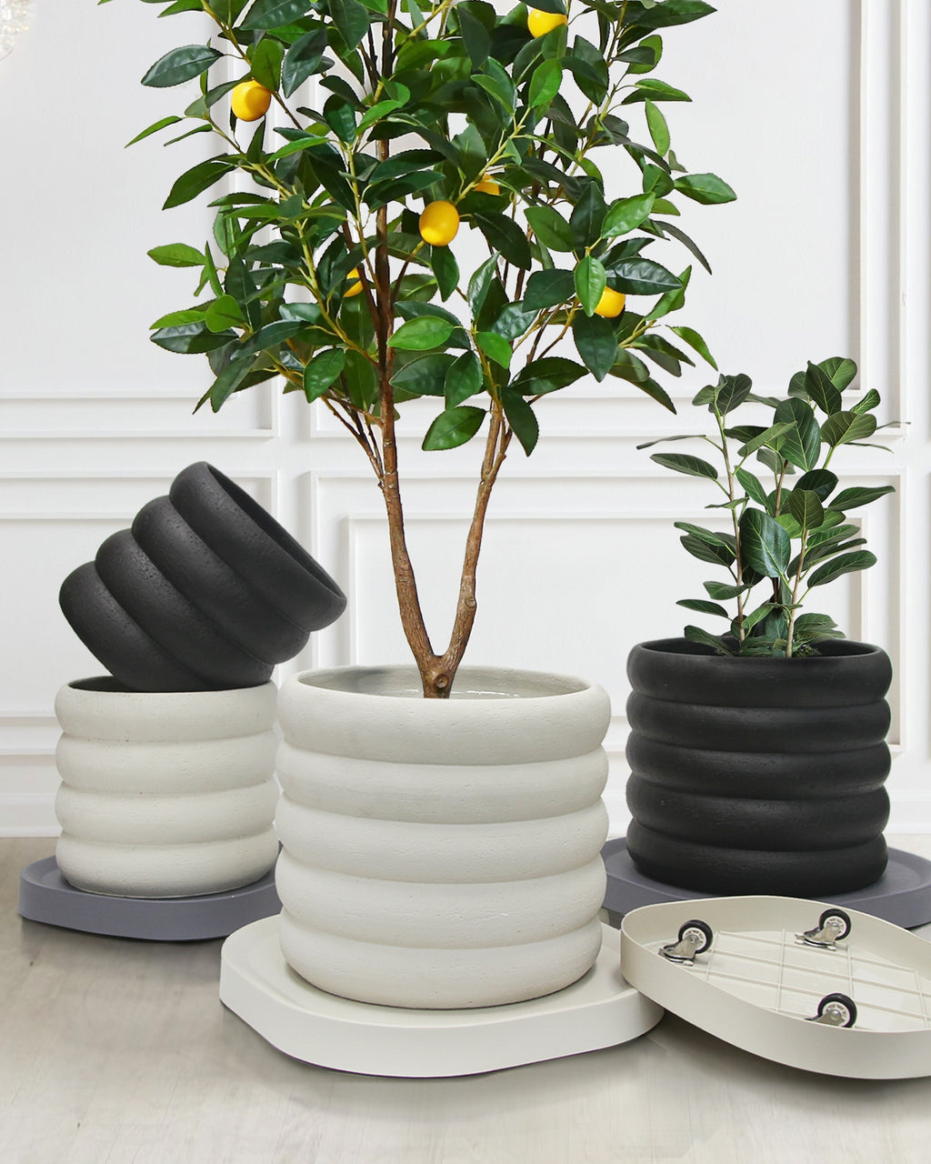Square Plant Dolly / Caddy | Galore Home: Luxury Home Decor, Elegant Home Furnishings, Stylish Home Accents & Contemporary Home Accessories