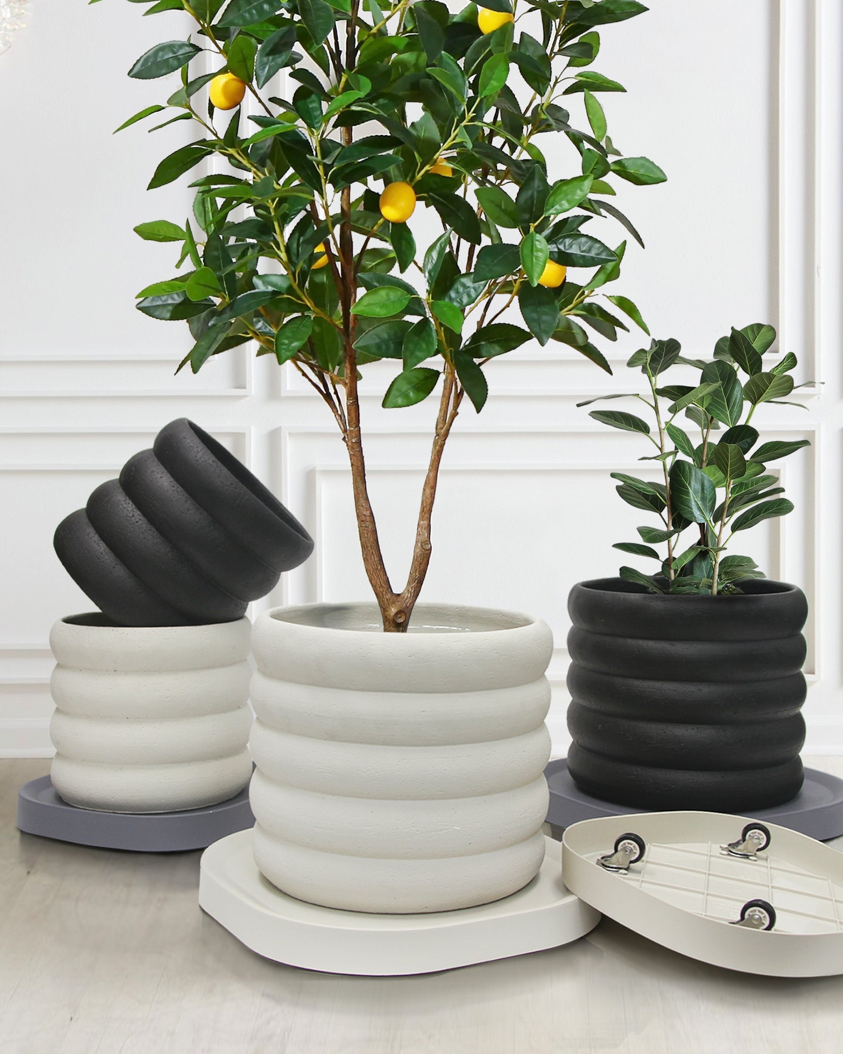 Square Plant Dolly / Caddy | Galore Home: Luxury Home Decor, Elegant Home Furnishings, Stylish Home Accents & Contemporary Home Accessories