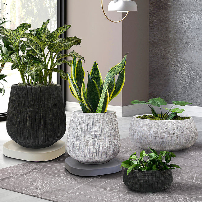 Modern Indoor/Outdoor Planter