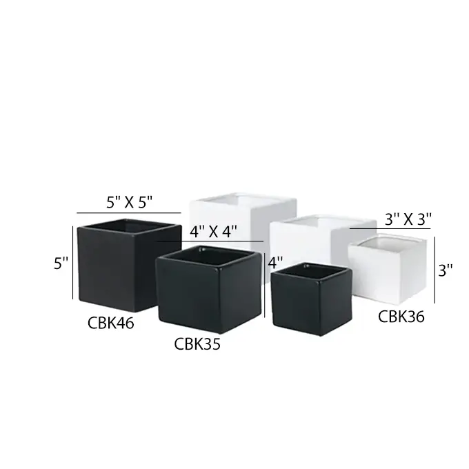 Contemporary Collection