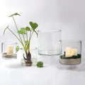 7-inch Top Clear Glass Cylinders