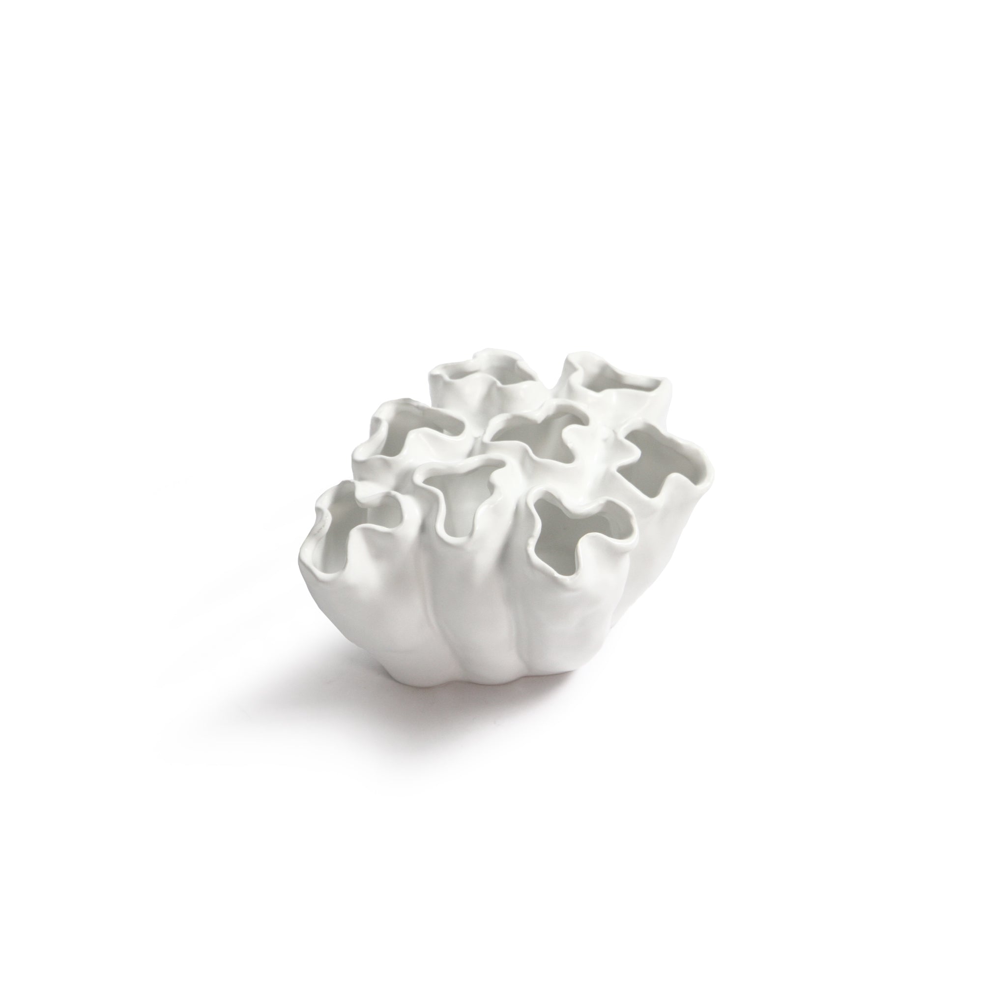 Fleur Cluster