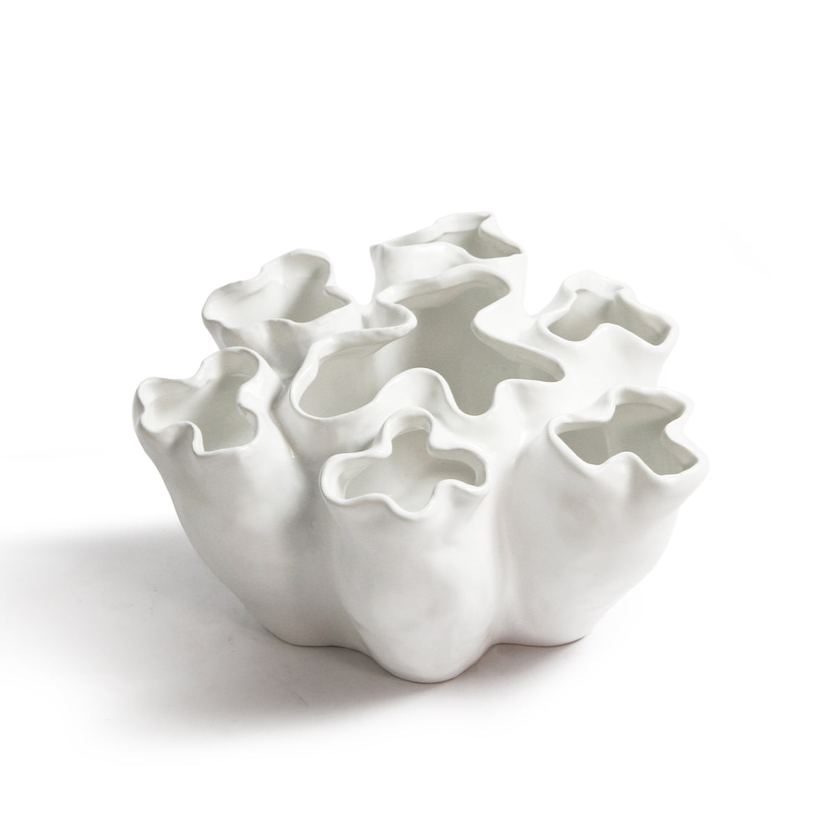 Fleur Cluster