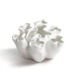 The Fleur Cluster