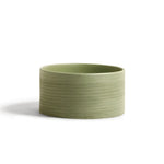 Etched Green Collection