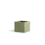 Etched Green Collection