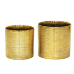 Etched Metallic Gold Collection