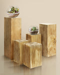 Woodscape Display Pedestal Side Table