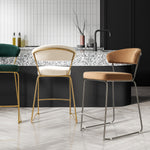 Luna Counter Stool (Set of 2)