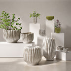 Rippled Haven Pot / Planter
