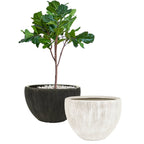 Tropical Planter