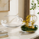 Colure Glass Vase