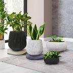 Modern Planter