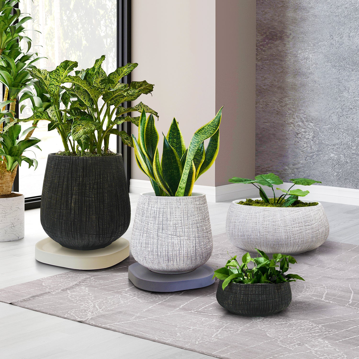 Modern Indoor/Outdoor Planter