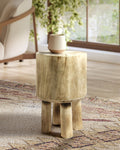 Wooden Trunk Side Table