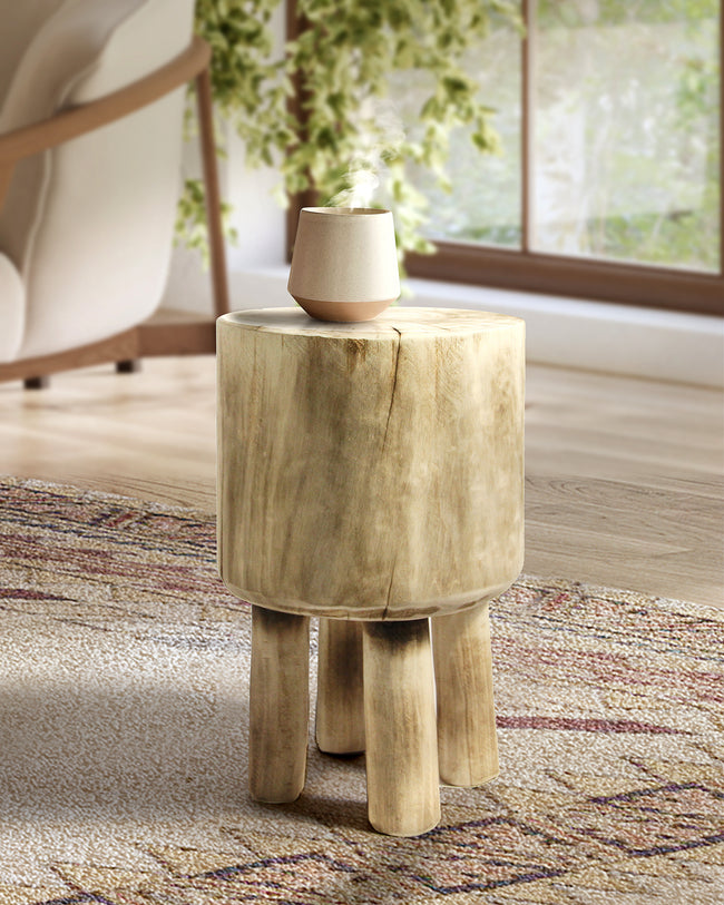 Wooden Trunk Side Table