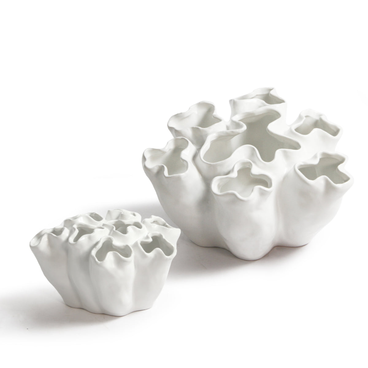 Fleur Cluster