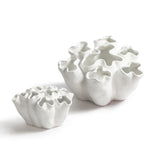 The Fleur Cluster