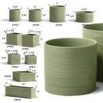 Etched Green Collection