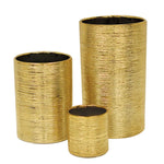 Etched Metallic Gold Collection
