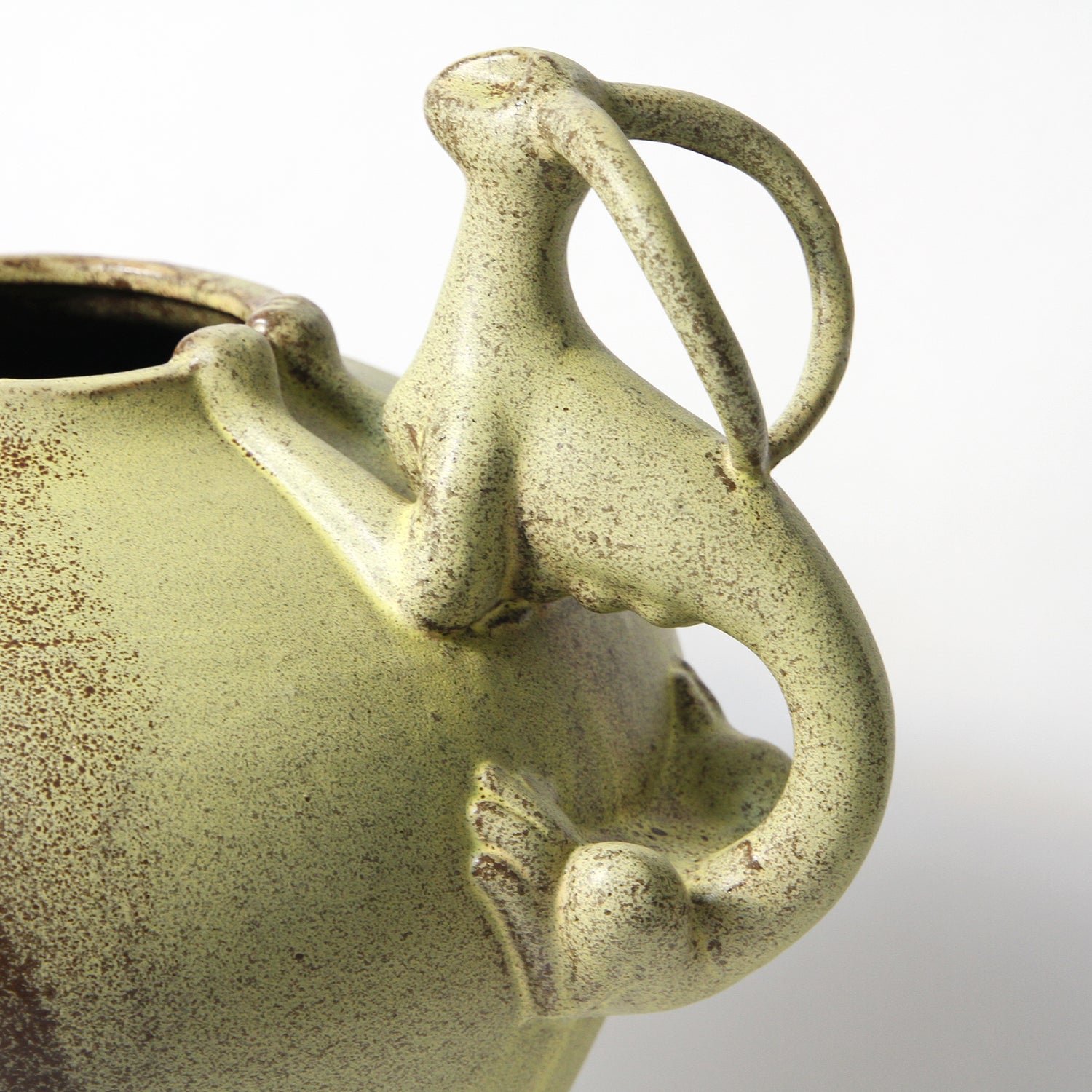 Guardian Vessel
