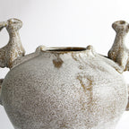 Guardian Vessel