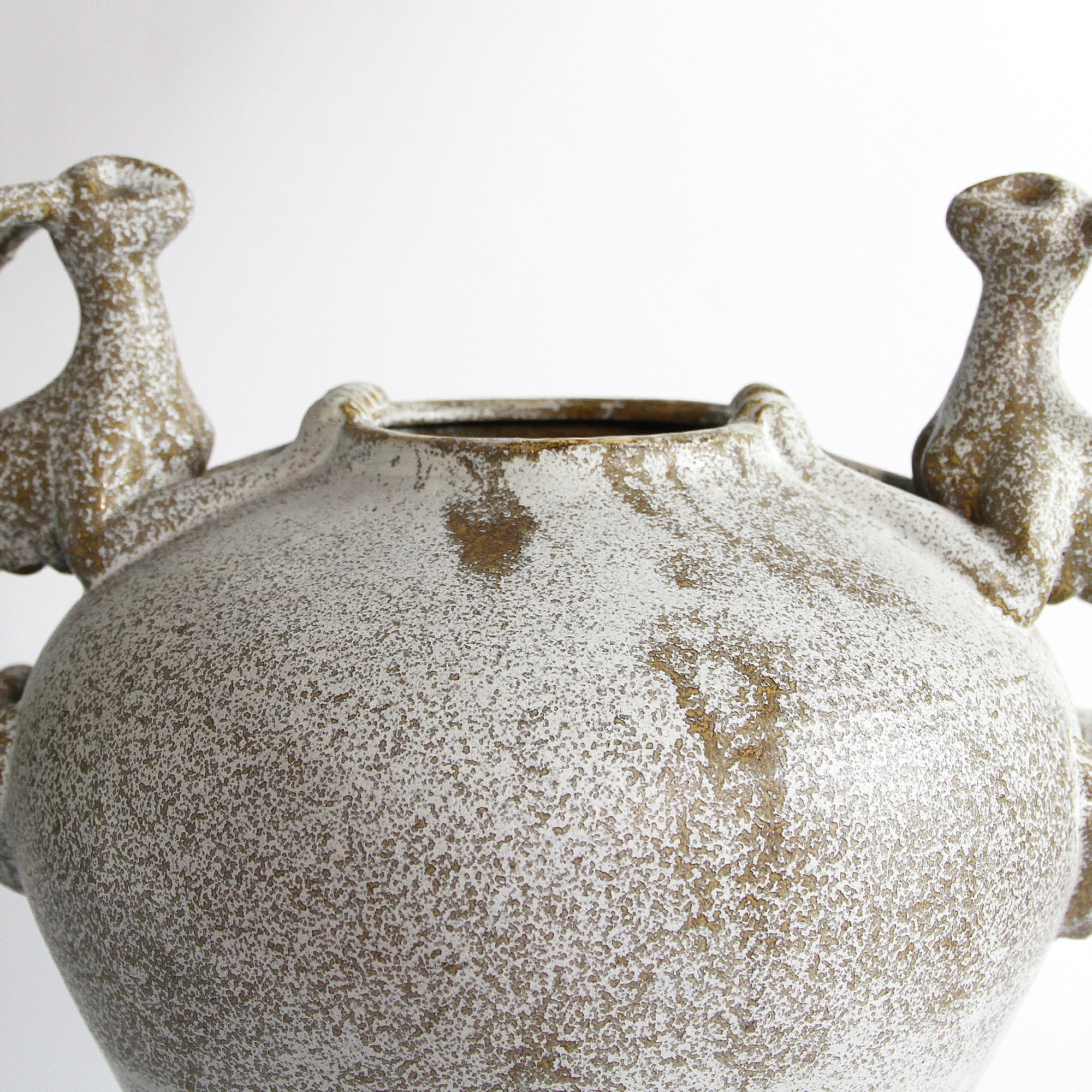 Guardian Vessel