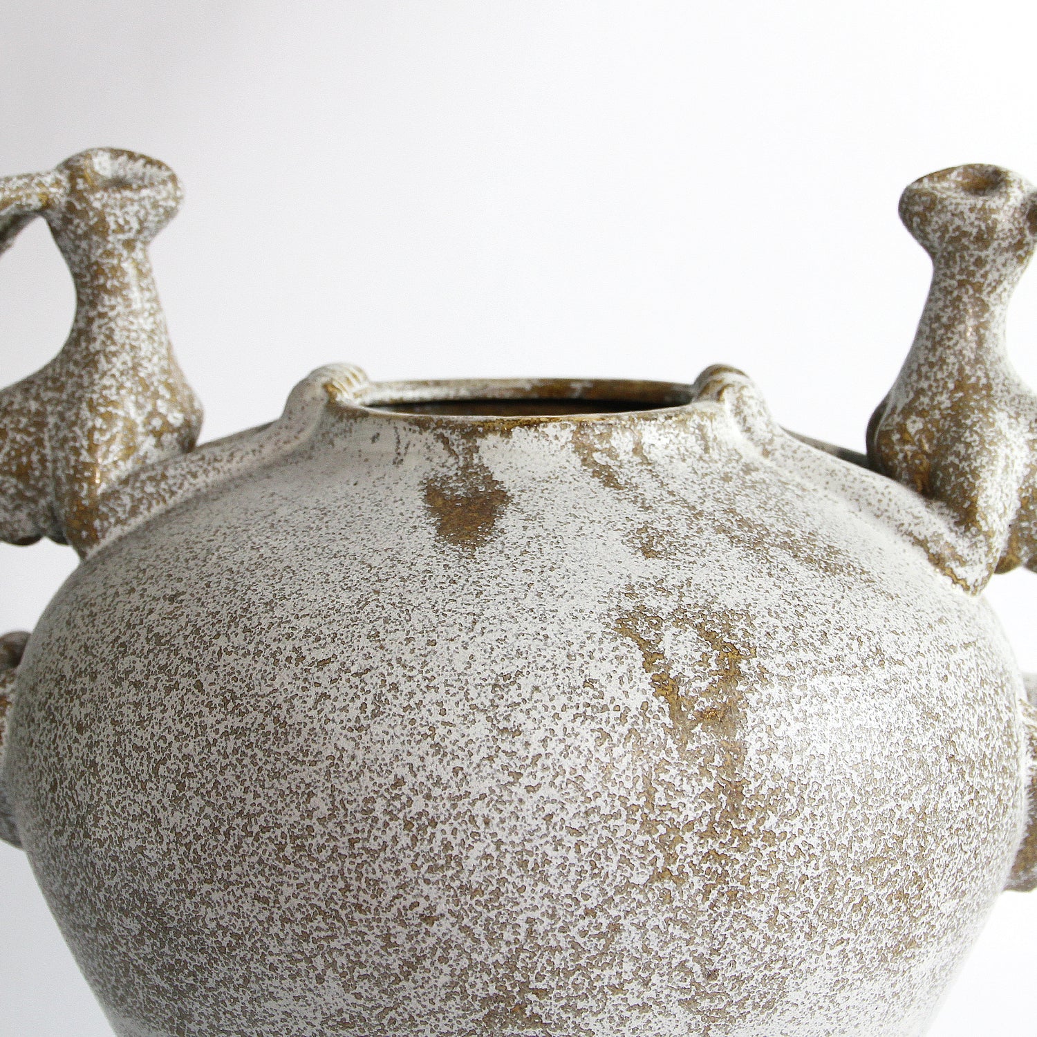 Guardian Vessel