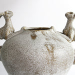 Guardian Vessel
