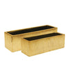Etched Metallic Gold Collection