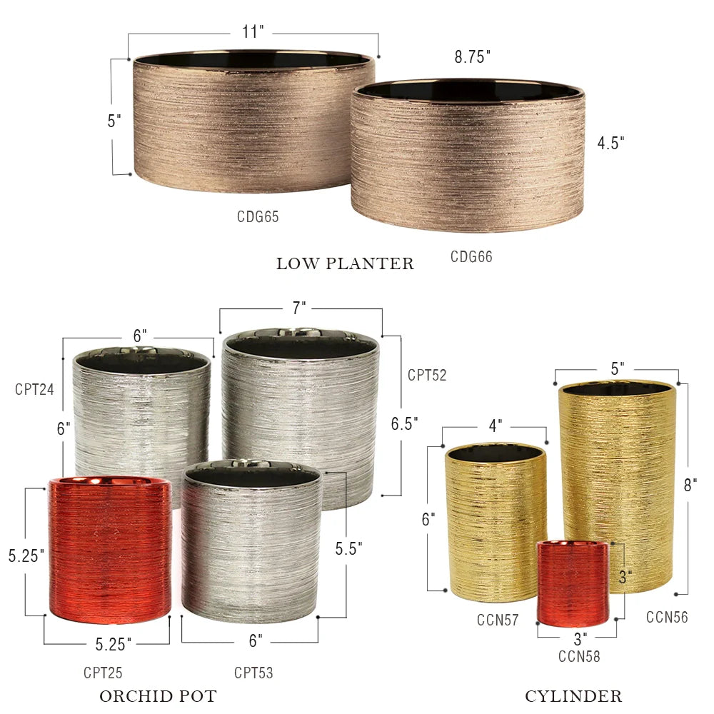Etched Metallic Gold Collection
