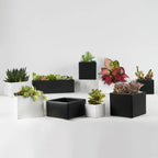 Contemporary Collection
