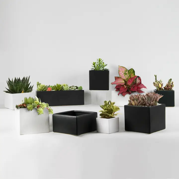 Contemporary Collection