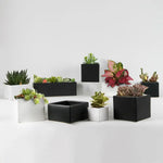 Contemporary Collection