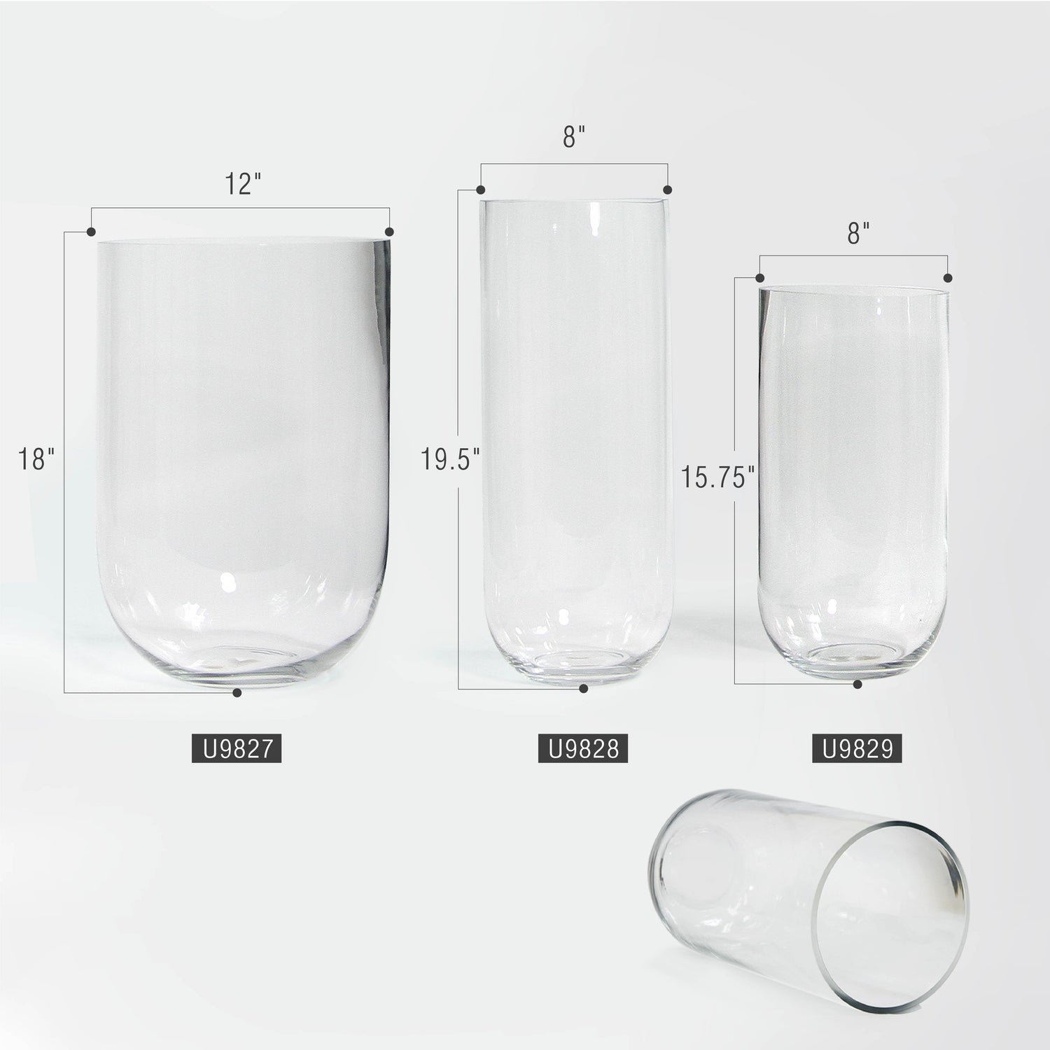 Inverted Dome Premium Glass Vase