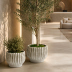 Rippled Haven Pot / Planter