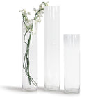 Glass Cylinder Vase (set of 2)