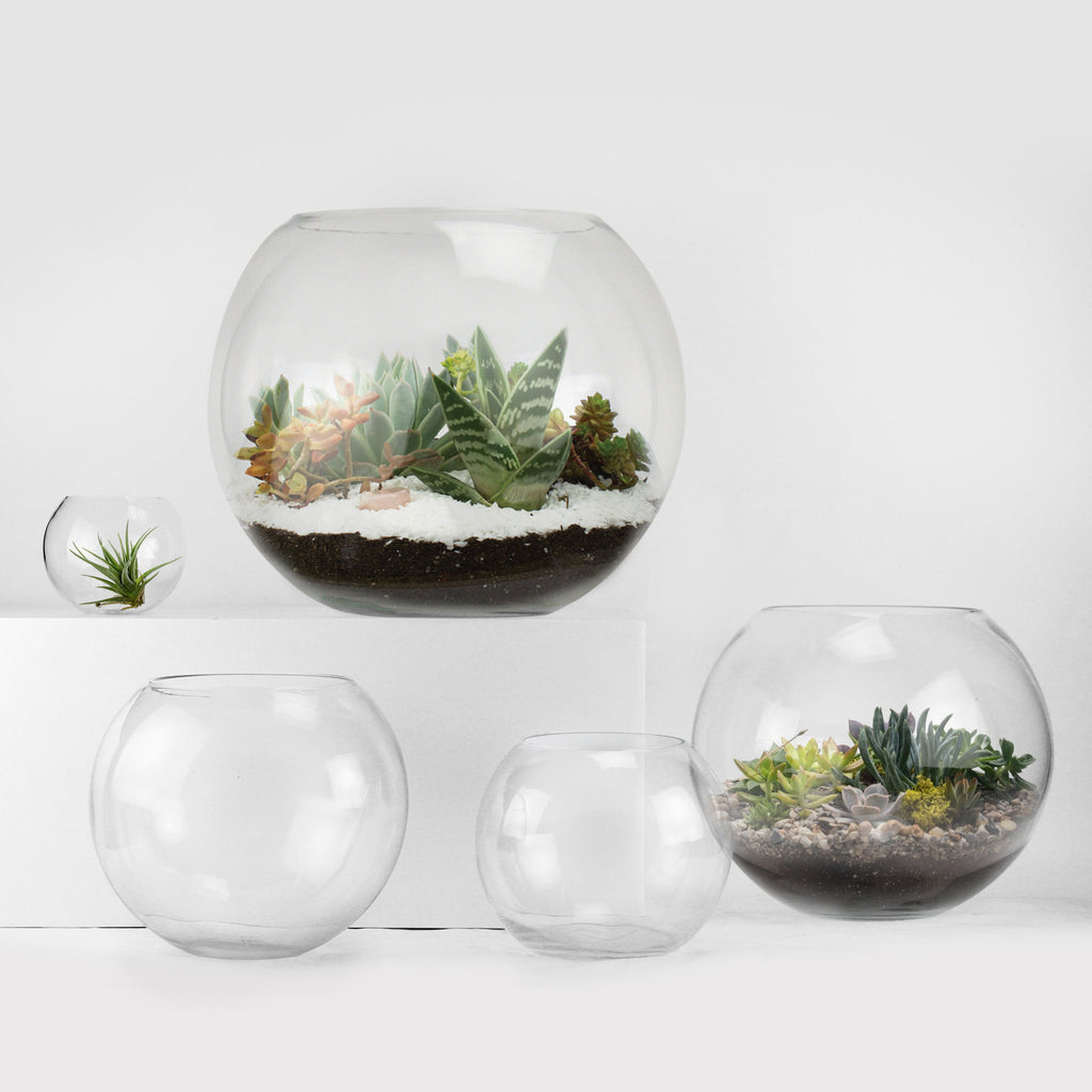 Bubble Bowls