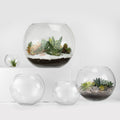 Bubble Bowls