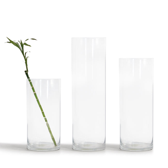 Premium Glass Cylinder (set of 2)