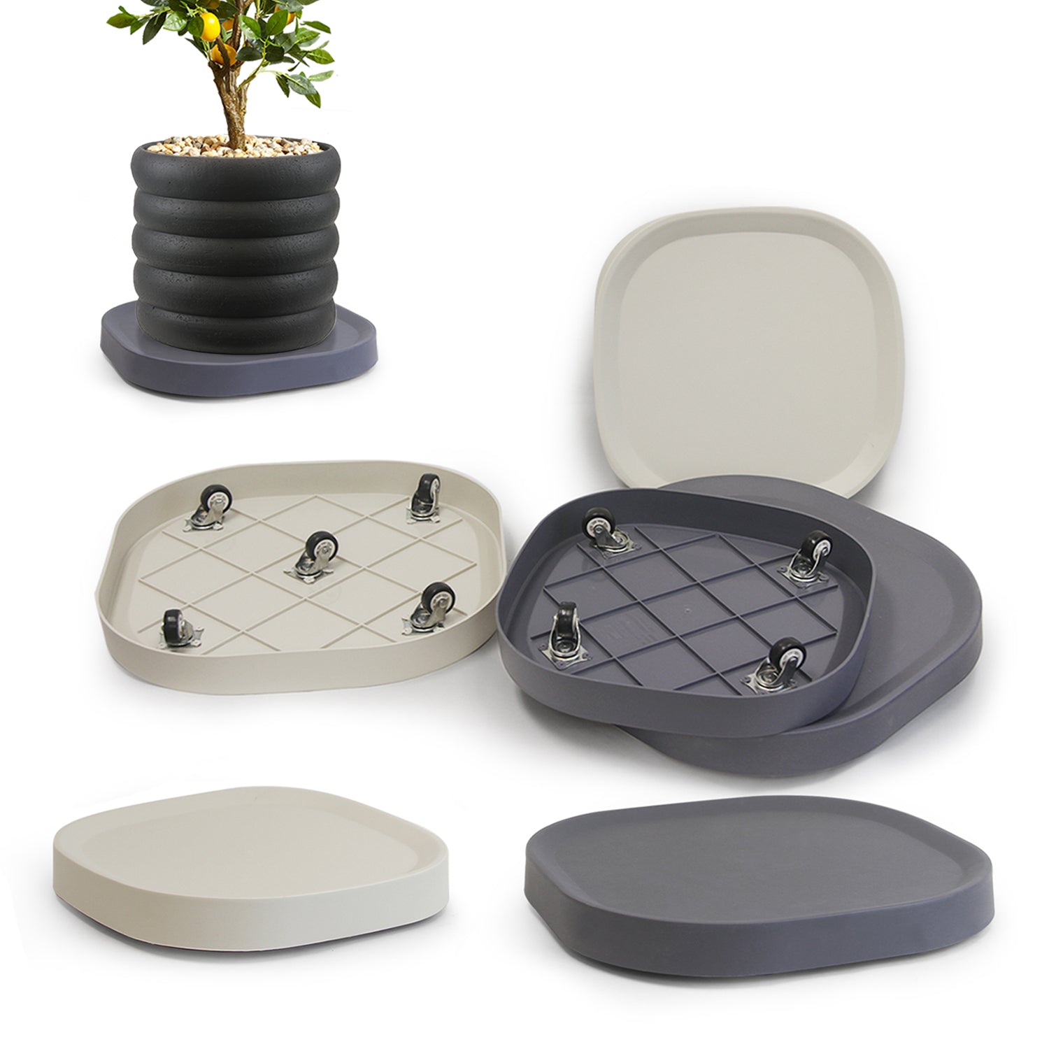 Square Plant Dolly / Caddy | Galore Home: Luxury Home Decor, Elegant Home Furnishings, Stylish Home Accents & Contemporary Home Accessories