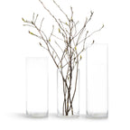 Premium Glass Cylinder (set of 2)