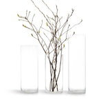 Premium Glass Cylinder (set of 2)