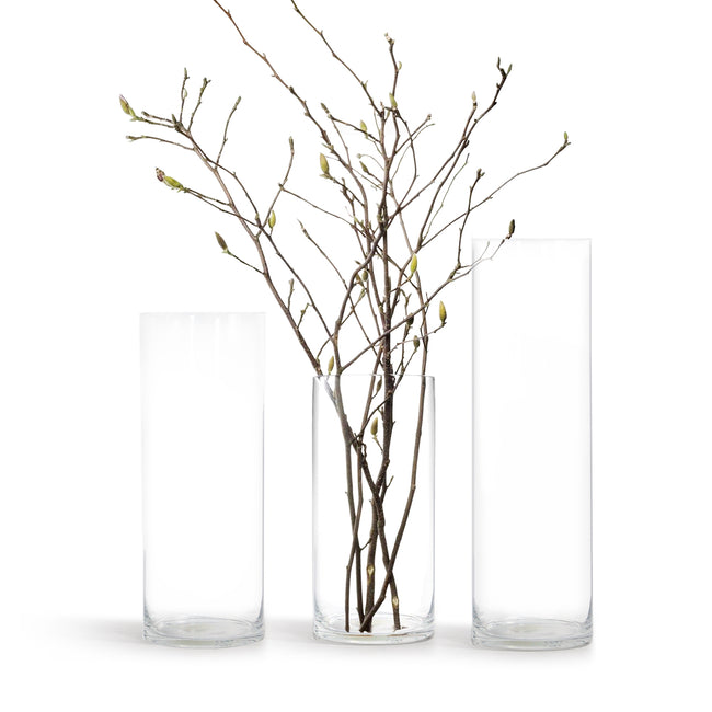 Premium Glass Cylinder (set of 2)