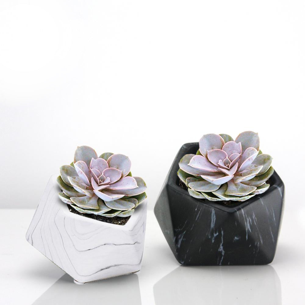 Indoor Ceramic Marble Planter | Galore Home: Luxury Home Decor, Elegant Home Furnishings, Stylish Home Accents & Contemporary Home Accessories